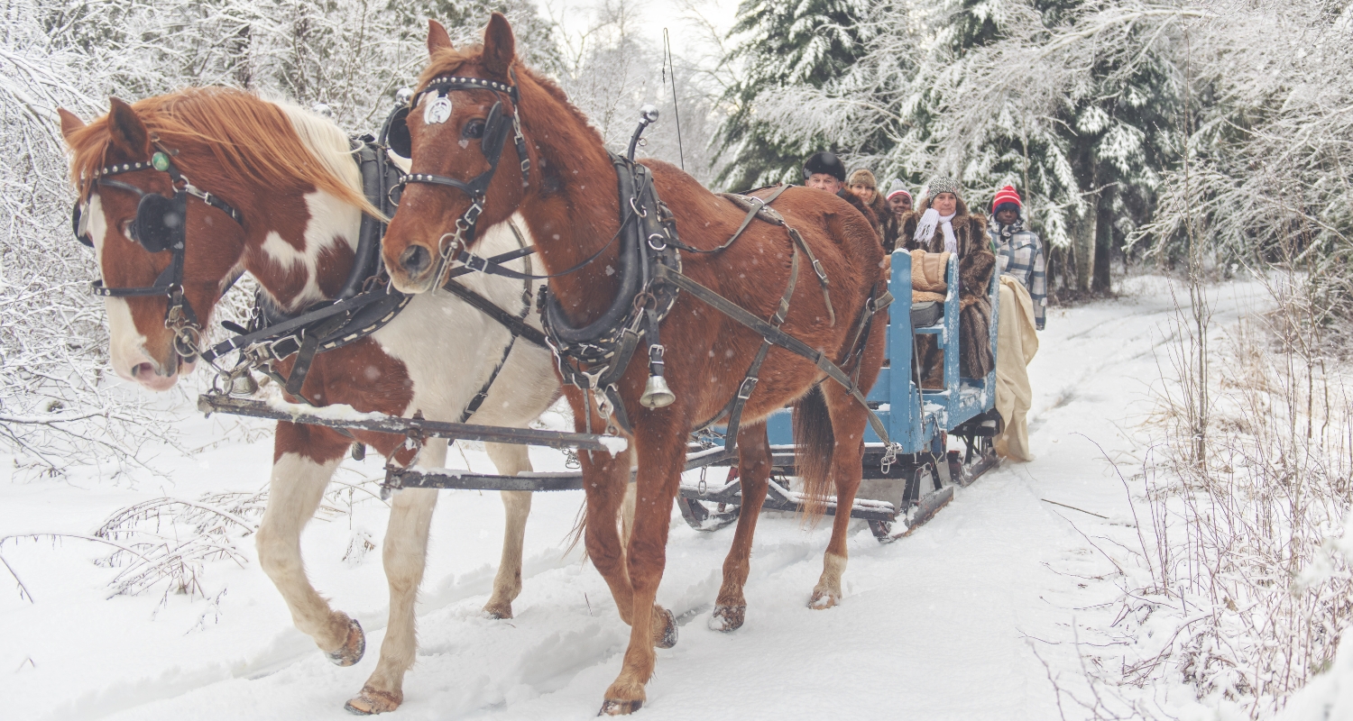 wisconsin sleigh ride